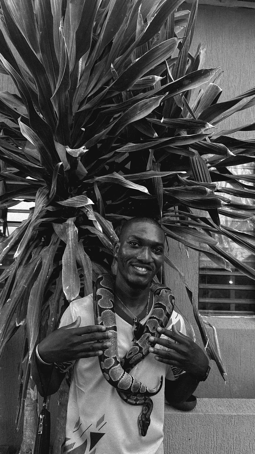 Ouidah — Ouidah, terre de mémoire